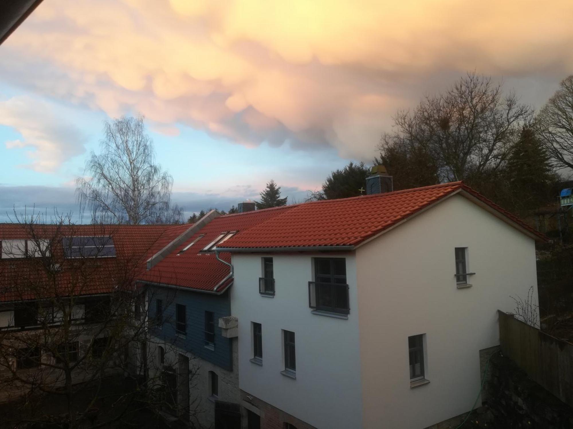 Ferienhof"Waldesel Rippersroda" Экстерьер фото