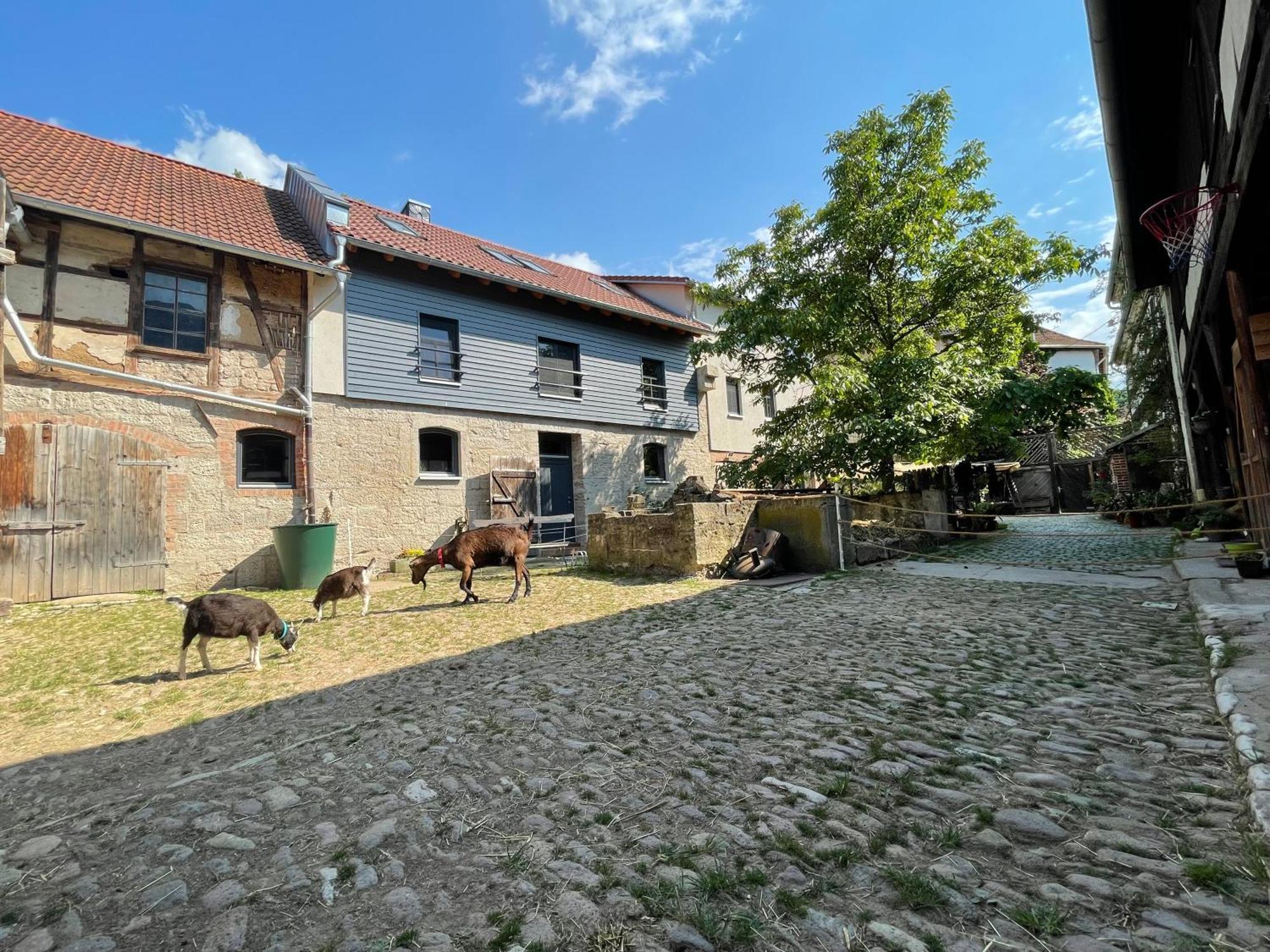 Ferienhof"Waldesel Rippersroda" Экстерьер фото