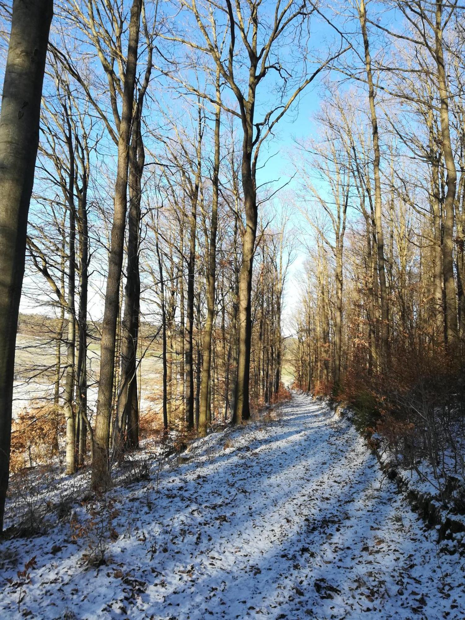 Ferienhof"Waldesel Rippersroda" Экстерьер фото
