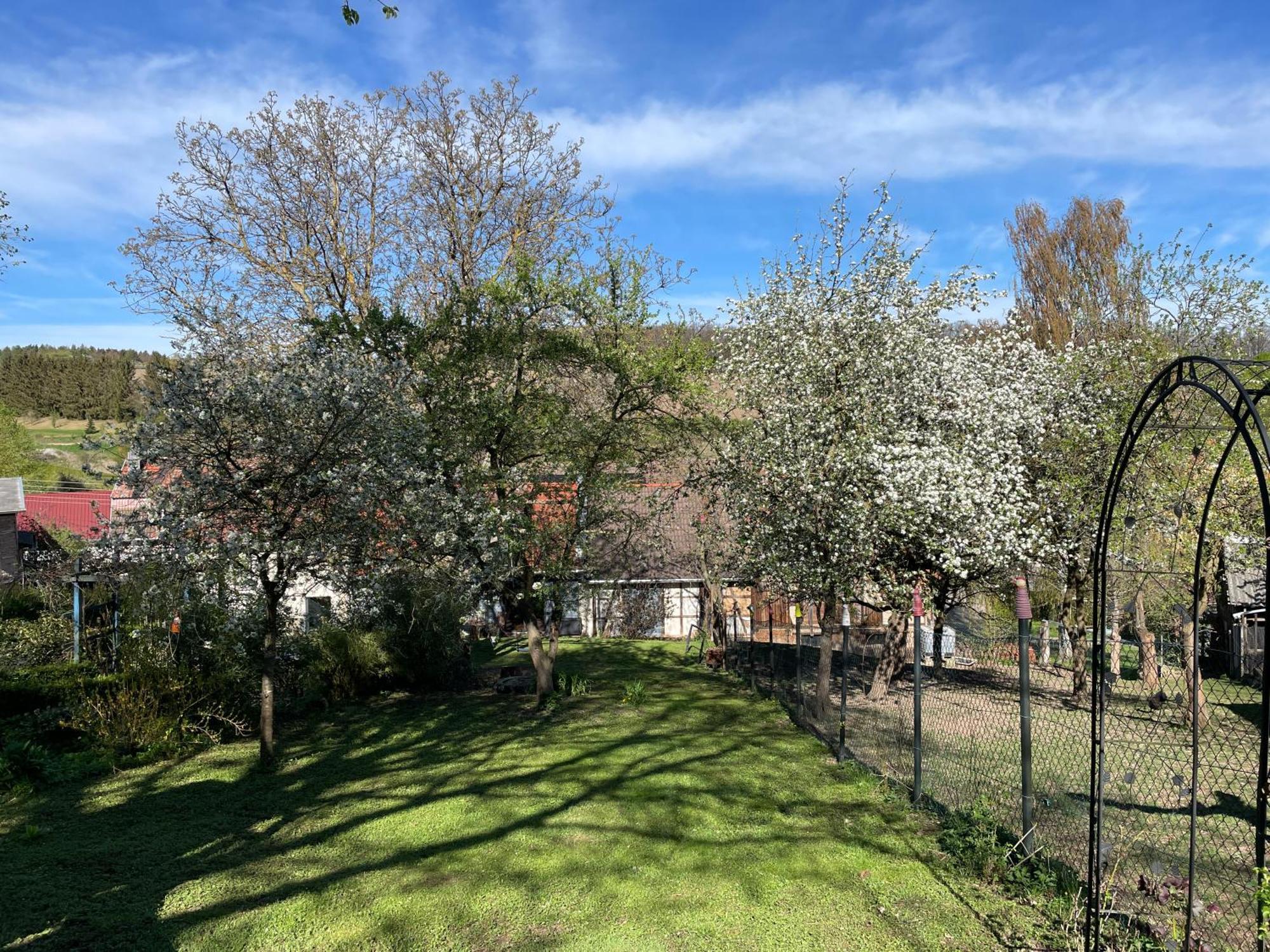 Ferienhof"Waldesel Rippersroda" Экстерьер фото